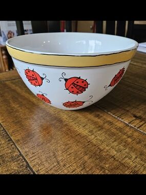 Vintage Bugz Ursula Dodge Mixing Bowl with Red Ladybug Motif
